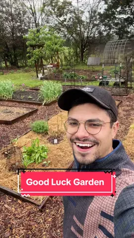 May the odds be in your favor 🥹💚🙏🏽 #garden #farmlife #abundance 