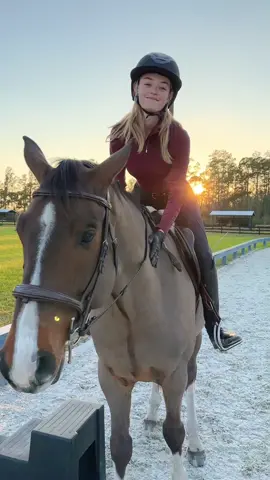 Ready to ride 🥰🐴🤠  #horsegirl #horse #horses #horseriding #horsesoftiktok #horsetok #girlfriend #cutegirl #farmgirl #horserider #equestrian #horsegirlvibes #model #modellife #hotgirlsummer #farmgirl #farmersdaughter #farmtok #farmlife #victoriassecret #vsfs  #equestrian #horses #warmblood #belgianwarmblood #zangersheide #showjumper #showjumping #eventer #eventing #dressage #equitation #horse #warmbloodhorse #santiagodwz