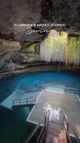 Florida's most iconic spring Devil's Den is an underground spring and is the most prehistoric of Florida springs. The crystal clear water of the spring maintains a constant temperature of 72 degrees Fahrenheit, making it an ideal spot for year-round snorkeling and diving. 🤿 Snorkeling: $18pp Monday-Friday and $25pp Saturday and Sunday.  🐟 Scuba diving $38pp  ‼️ By RESERVATION ONLY! 📍 5390 NE 180th Ave, Williston, FL 32696 #fashioneattravel #devilsden #floridasprings #thingstodoinflorida #visitflorida #lovefl #springs #bucketlist  Devil’s Den, Things to do in Florida, Florida Springs 