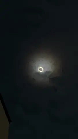 Nature surprises 🌞 #solareclipse #eclipse #eclipse2024 #recommendations #солнечноезатмение #eclipsesolar 