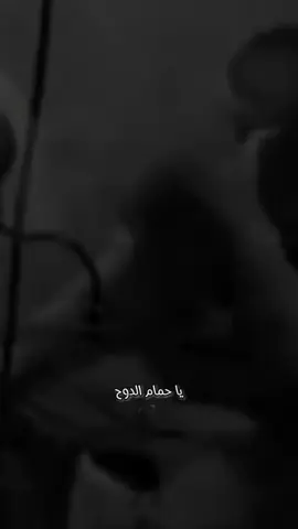 #ياحمام_الدوح_وشمالك_تون🥹💔  #اكسبلورexplore #تصميمي_فديوهاتي  #CapCut #fyp #fypシ #foryou #virl 