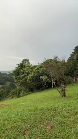 @Vanessa Rodrigues ♡ @NUNO_AM @Lia @KRATOS🇺🇸🇵🇹 #dancinhadowolverine #wolverineembaixadordotiktok #wolverinecosplay #wolverinedotiktok 