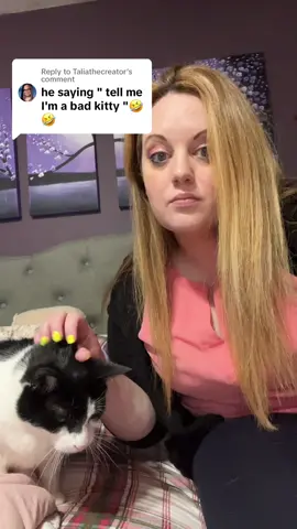 Replying to @Taliathecreator #famouscats #cat #cats #catsoftiktok #viral #famous #tiktok #fyp #badcat #funny #comedy #joke 