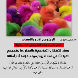 #الرفق_بالحيوان #الصيصان #صيصان_ملونه #الاطفال #اطفال #حرام #اثم 