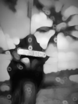 Rs Lover ❤️🔐 #CapCut #trending #viral #foryoupage #foryou #fypシ #tiktok #bikelife #bgm #bajajpulsar #rs200 #rs200lover 