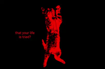 wanted to match the album cover for today (song: system of a down - peephole) #soad #systemofadown #fyp 