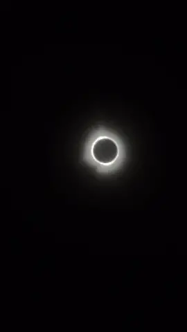 I am a skilled professional #eclipse
