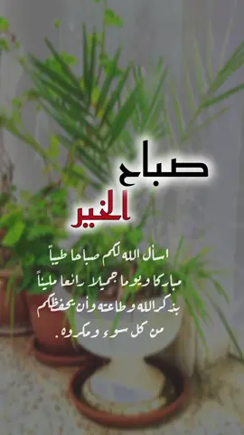صباح الخير 🌷#اسعد_الله_جميع_اوقاتكم🌹🌹 #تصميم_فيديوهات🎶🎤🎬 #صباح_الخير #اللهم_صلي_على_نبينا_محمد #ستوريات #صوت_عصافير #اصبحنا_واصبح_الملك_لله__صباح_الخير #بدون_موسيقى #eid_saeed #viral #fyp 