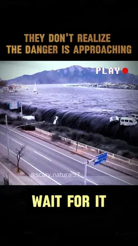 They don’t realize the danger is approaching #disaster #scarynature #tsunami #waitforit #japan #2011 #foryou #viral #fyp 