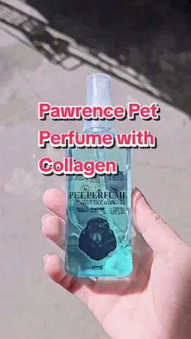 Pawrence Pet Perfume with Collagen for healthy skin and coat.  #pawrenceph #pawrencepetproduct #pawrencepetperfume #collagenforpets #dog #doglover #dogslife #shihtzu #shihtzuph #cocoandnabi 