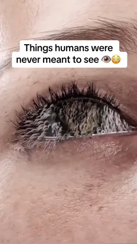 Ones in a life time moment 😳! Part 1 | Things humans were never meant to see 😱😳!  #scary #mystery #solareclipse #eclipse #caughtoncamera #explore #interesting #weird #creepy