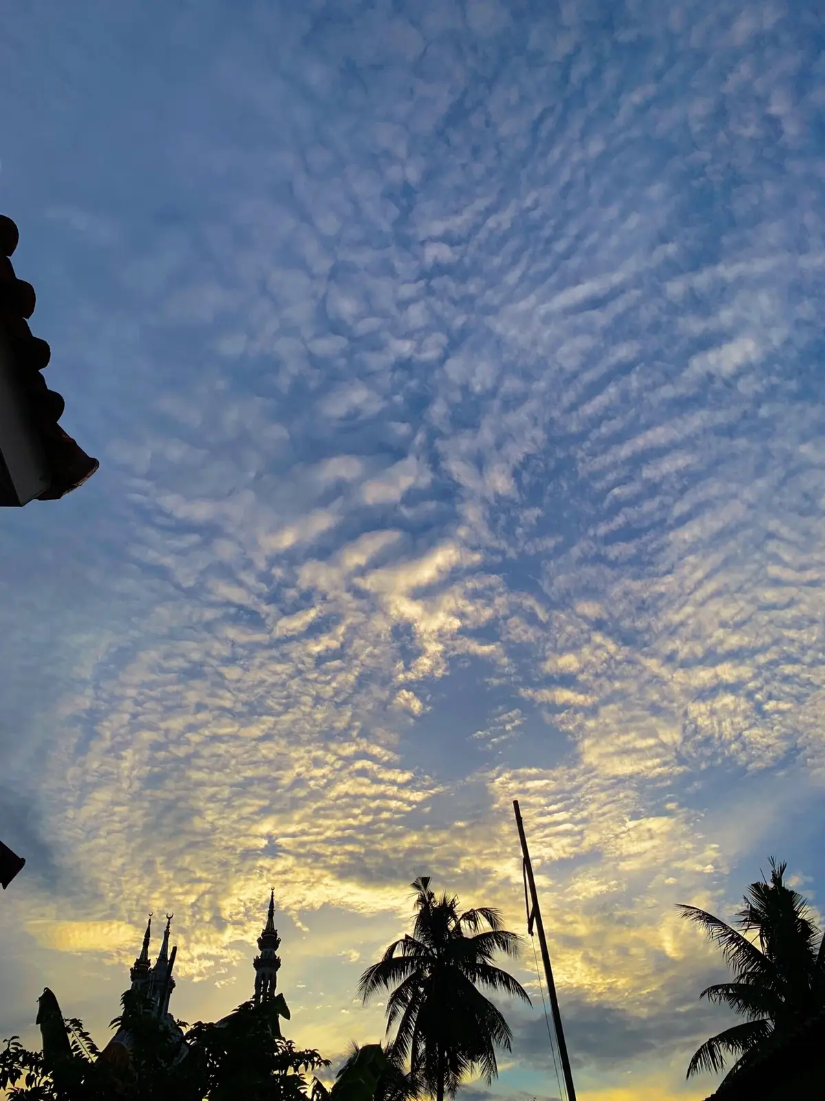 Just a picture #xyzbca #sunset 