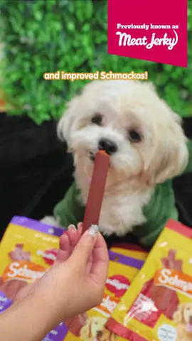 ⏰ It's Schmackos o'clock! ⏰ Treat your pup to the ultimate snack time with Pedigree's irresistible Schmackos. Watch those tails wag! 🐾 #SchmackosOClock #PedigreePleasures #TreatTimeFun #HappyPups #TikTokTreats #dog 