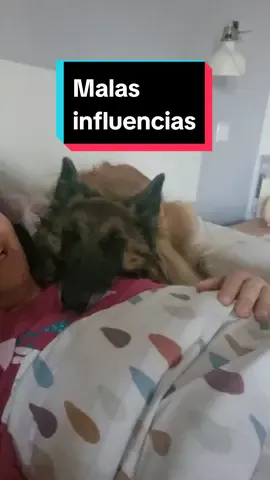 Las malas influencias de alguien que no tiene responsabilidades en la vida 😆 #Arena #pereza #sueño 