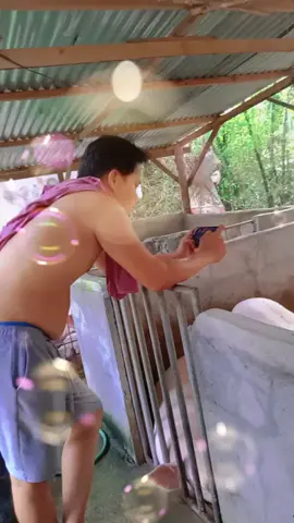 banaNa🥰@jEffreygUigui21😊 