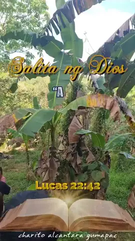 #amen🙏🙏♥️♥️♥️♥️ 