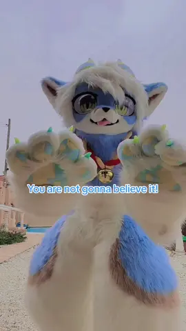 Fluffy 🍑✨  #Furry #Fursuit #Fursuiter #FurryFandom #furriesoftiktok #furrytiktok #Furries #Kemono