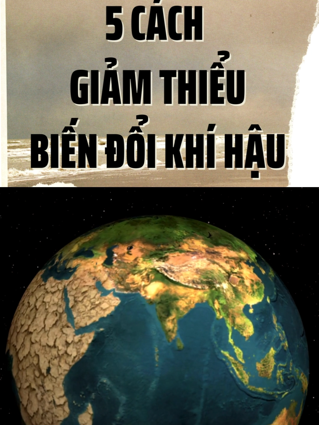 Giảm thiểu biến đổi khí hậu ngay hôm nay bằng dòng gạch XANH #cedeli #gachcedeli #biendoikhihau
