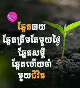 #ឆ្អែតបាយត្រឹមមួយថ្ងៃតែបើឆ្អែតសម្ដីចាំមួយជីវិត👌🥀😭#fypシ #tiktok #adminកំពូលសេដ😭🥀 