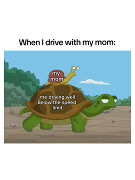 When I drive with my mom. #memes #driving 