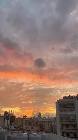 عَ رمَادَا عمّرت قصُور.. 🕊️ #hasnaanassif 