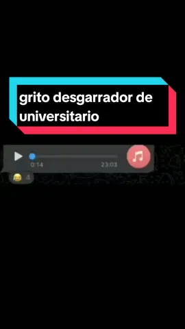grito desgarrador de universitario  #humor #audio #audiowhatsapp 