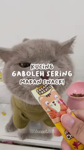 🗣️ “Gaboleh sering2 makan snack ya!!”  Eittss kata siapaa, skrg udh ada loh snack sehat dari @Olive Care Official Shop . Terbuat dari daging asli dan punya manfaat khusus disetiap variannya 🔆 #nutritioustreats #snackolivecare #creamysnack #snackkucing 