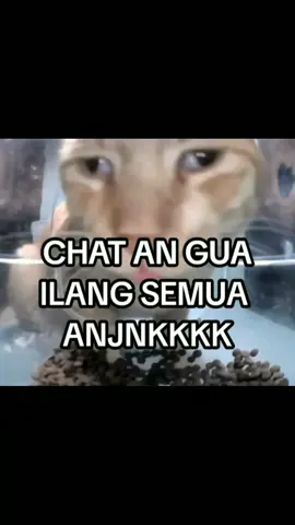 demi apapun y wa kya😭😭😭#whatsapp #reset 