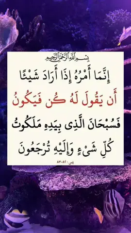 انما امره اذا اراد شيئا يقول له كن فيكون #سورة_يس #القران_الكريم_راحه_نفسية😍🕋 #قرآن_كريم_راحة_نفسية #اللهم_انك_عفو_تحب_العفو_فاعف_عنا #quran #dua 