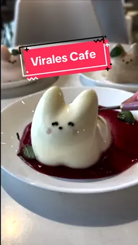 Ich habe das virale jiggly Pudding Katzen Cafe in Tokio ausprobiert und es war zu lustig UND lecker😂 Alle mussten bei denen lachen! 🥹 Wie cool sind die Katzen von 1-10?🐱  #tokio #japan #viralfood #fyp 