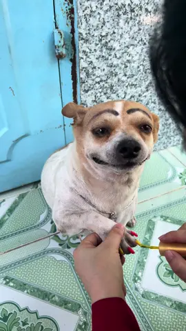 Sờ ri mần đẹp cùng Su #P2 kiếp nạn làm móng mà ngủ ngái     Khì khì luôn 2 ơi 2 🙄 #sudieuda🥰 #doglacho97 #dogsoftiktok #dog #giaitri 