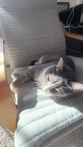 #ataby #mynameisTaby 