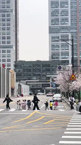 ⚠️alerta de fofura⚠️ bebês coreanos atravessando a rua e acenando pra mim 🇰🇷😭❤️🥺💖 #cute #koreanbaby #korean #koreanbabies #cutewarning #southkorea #seoul #fyp #traveltiktok 