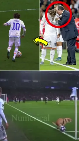 Esse treinador proibiu Modric de dar passes de Trivela. 