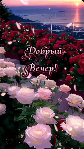 Добрый вечер