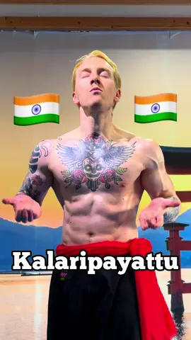 Kalaripayattu - #kalaripayattu #kalaripayattumartialarts #martialarts #karate #india #viral #fyp 