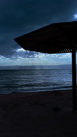 🤍😢#حقل #اكسبلور 