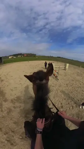 Petit fail 😅🥲 #horse #jumping #horsegopro #gopro #fail #fails #jump #cso 