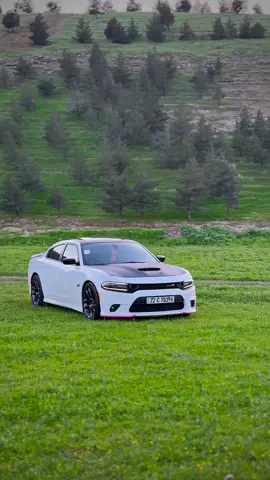 #ScatPack 🤍 ما„نرهم