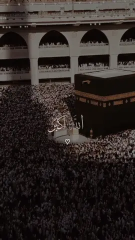 الله أكبر كبيرًا  🤍✨ والحمد لله كثيرًا وسبحان الله بكرةً وأصيلاً   #عيد_الفطر_المبارك #عيد_سعيد #كل_عام_وانتم_بخير  #fyp #fypシ #viral 