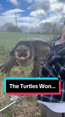 Replying to @Jorge #snappingturtle #infestation 