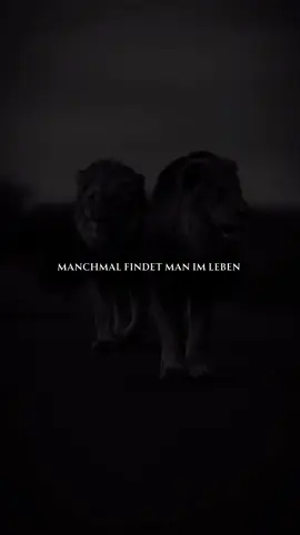 Dieser eine besondere Freund ❤️ — #motivation #motivationssprüche #motivationdeutsch #zitate #motivationtok #zitateundsprüche 