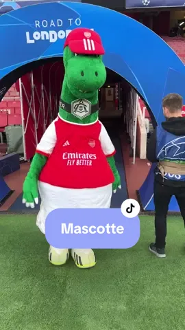 UCL Mood 🏟️🥰 • #ucl #ldc #championsleague #liguedeschampions #uefa #arsenal #afc #gunners #mascotte #mascot #footballmascot #etihadstadium #football 