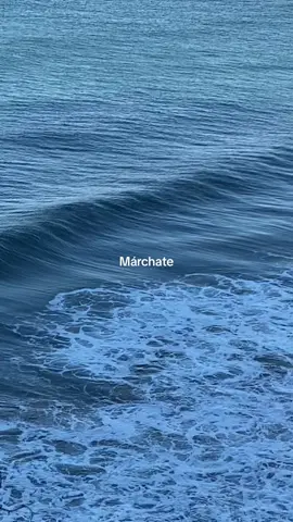 encontrar la paz en la distancia #reflexion #fyp #foryou #parati 