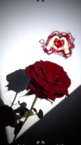 اهديك ورده حمرا🌹👀# #_____eksplo______ #