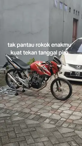 gak suwe balek gajah baru😂 #tigermodifikasi #xxbca #fypシ #tigergank 