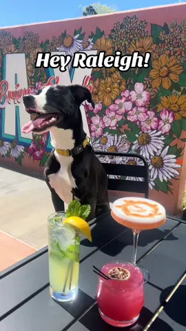 This saturday! V pizza brier creek 4-6pm