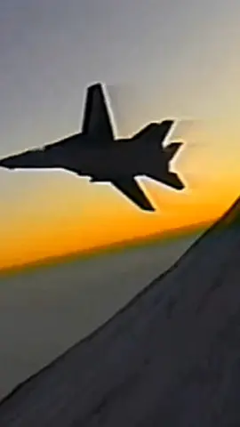 Tomcat Tuesday with the VF-21 Freelancers  #f14 #f14tomcat #vf21freelancers #tomcattuesday