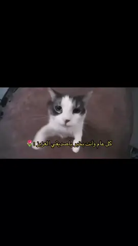 @🫂🌷. ؟ #fyp #foryou #مالي_خلق_احط_هاشتاقات #foryoupage #اكسبلورexplore #هداج🦯 #هداج🦯 #رياكشن #fypシ 