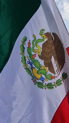 Soy mexicana y esta es mi bandera 🇲🇽 . . . . #maraton #maratoncdmx #Running #runninggirl #runninglife #correr #corredores #mountainrunning #trailrunning #loverunning #yoelegicorrer #run #jocamarografo #runningmexico #mountain #jocarunning #trepacerros #trailrunner #corredordemontaña